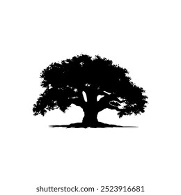 oak tree silhouette vector illustrations. black oak tree isolated on white background