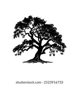 oak tree silhouette vector illustrations. black oak tree isolated on white background