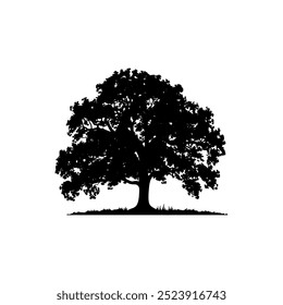 oak tree silhouette vector illustrations. black oak tree isolated on white background