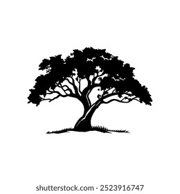 oak tree silhouette vector illustrations. black oak tree isolated on white background