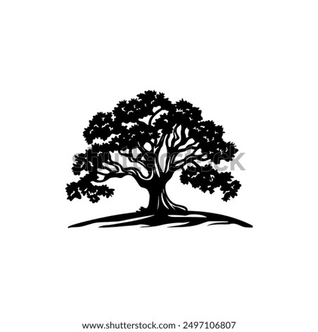 oak tree silhouette vector illustrations. black oak tree isolated on white background