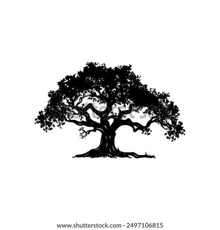 oak tree silhouette vector illustrations. black oak tree isolated on white background