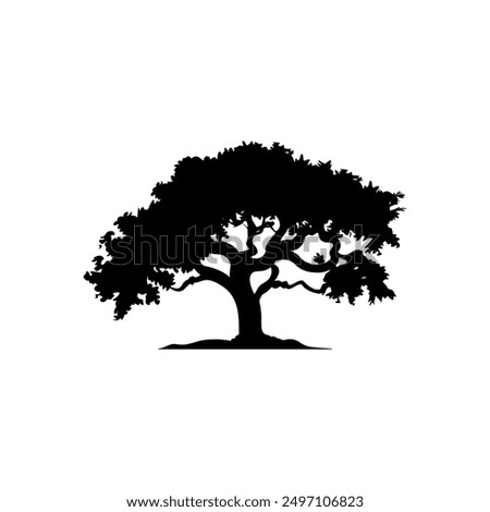 oak tree silhouette vector illustrations. black oak tree isolated on white background
