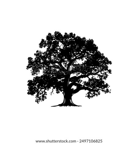 oak tree silhouette vector illustrations. black oak tree isolated on white background