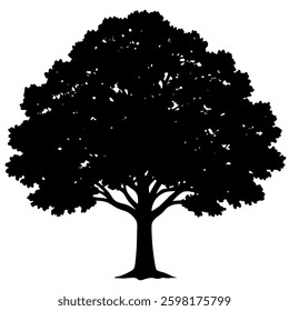 Oak Tree Silhouette – Wide Canopy Vector Image