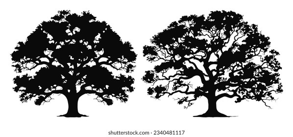 oak tree silhouettes set illustration