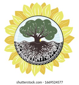 oak tree and sunflower drawing bright. vector stock image
