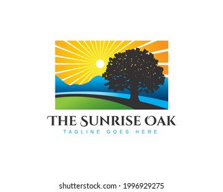 oak tree with sunrise landscape backgound