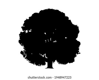 Oak tree symbol. Cut out black shape on a white background illustration. Graphic element for logo, print, design, pattern. Vector.