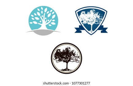 Oak Tree Template Set