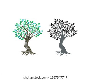 colección vectorial de árbol de roble. Silueta de color negro y blanco de robles.