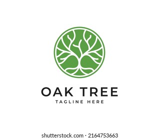 oak Tree vector icon. Nature trees vector illustration logo design