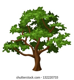 Oak Tree. Vector Illustration.