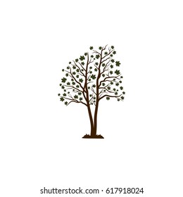 Oak tree vector illustration