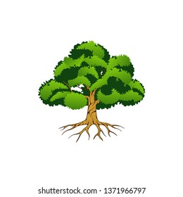 oak tree vector illustration, abstract logo style