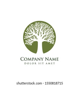 oak tree vector illustration logo design template. Abstract vibrant tree logo design