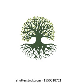oak tree vector illustration logo design template. Abstract vibrant tree logo design.