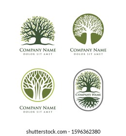 oak tree vector illustration logo design template. Abstract vibrant tree logo designs