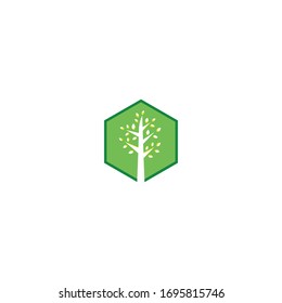 oak tree vector illustration logo design template. Abstract vibrant tree logo designs