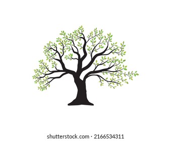 oak tree vector illustrations isolated on white