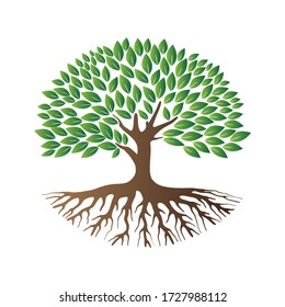 Oak tree vector isolated on white background. Nature or forest symbol icon.