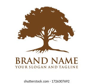 Oak Tree Vector Logo Brand Designs Company Icon