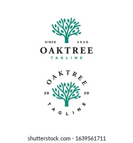 oak tree vector logo design template