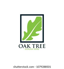 Oak tree vector logo isolated. Logo templates.