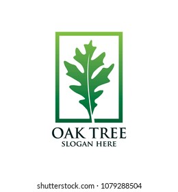 Oak tree vector logo isolated. Logo templates.