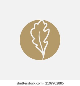 oak vector graphic abstract design logo