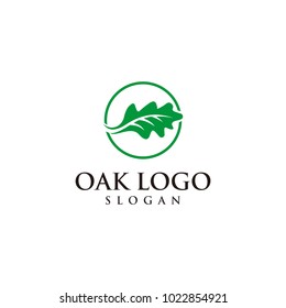 oak vector graphic abstract logo template download