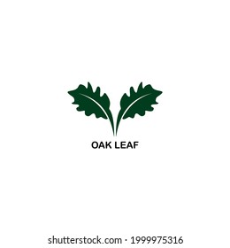oak vector graphic abstract logo template download
