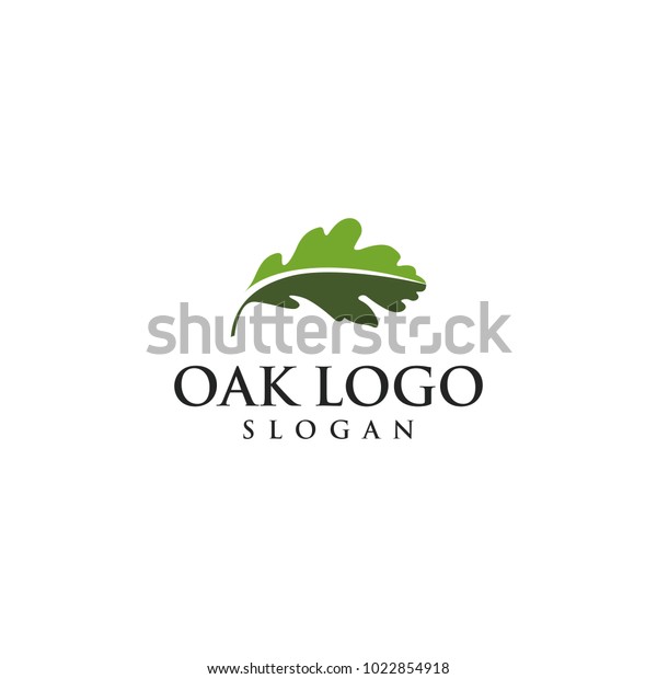 oak vector\
graphic abstract logo template\
download