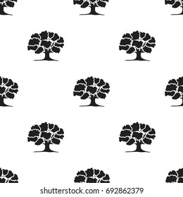 Oak vector icon in black style for web
