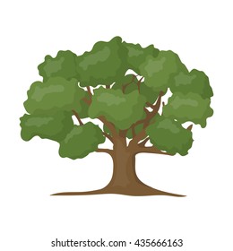 Oak vector illustration icon in cartoon design