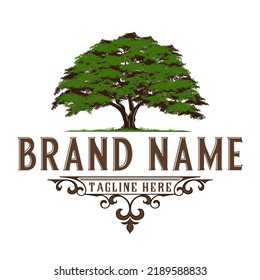 oak vintage logo design. the concept of a big tree with shady leaves. for construction, housing, education and others.