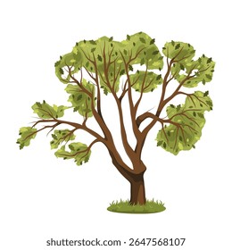Madeira ou árvore de carvalho na estação de primavera. Símbolo vetorial de crescimento verde e flora biodiversidade, elemento ecossistema vegetal. Ambiente de madeira dura. Madeira de troncos ou florestas. Botânica e natureza, biologia.
