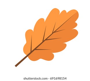 Oak yellow autumn leaf icon flat style. Isolated on white background. Vector illustration