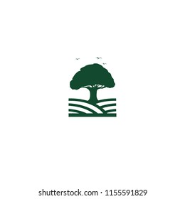 oakfields, simple logo for business, elegant and modern