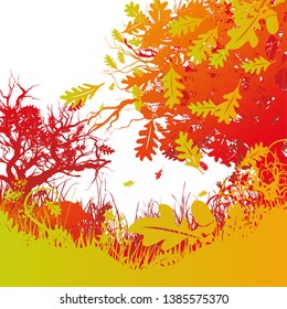 Oaks, deciduous and a mixed forest