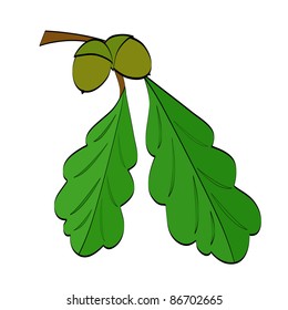 Oak's leaves