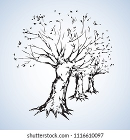 oaktree isolated on white parkway backdrop. Freehand linear black ink hand drawn picture sketchy in art retro doodle graphic style pen on paper with space for text on sky border