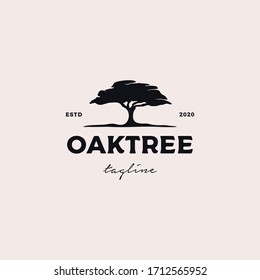 Oaktree logo design vector illustration