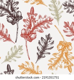 Oaktree seamless pattern Decorative autumn leaf sketches. Hand-drawn botanical backdrop in sketched style. Vintage oak tree branch with fall leaves and acorn illustrations. Thanksgiving background