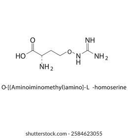 O-[(Aminoiminomethyl) amino]-L-homoserine, Canavanine skeletal structure.Amino acid compound schematic illustration. Simple diagram, chemical structure.