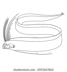 Oarfish Black and White Coloring Book Version Long Fish in the Sea Vector Illustration EPS Format 