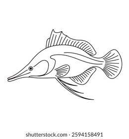 Oarfish illustration line art design