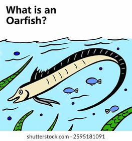 The oarfish, a rare and elusive fish, is featured in this educational illustration.