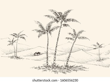 Oasis in the desert hand drawing, palm trees, fountain water and a camel in the background