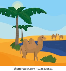 Oasis on desert